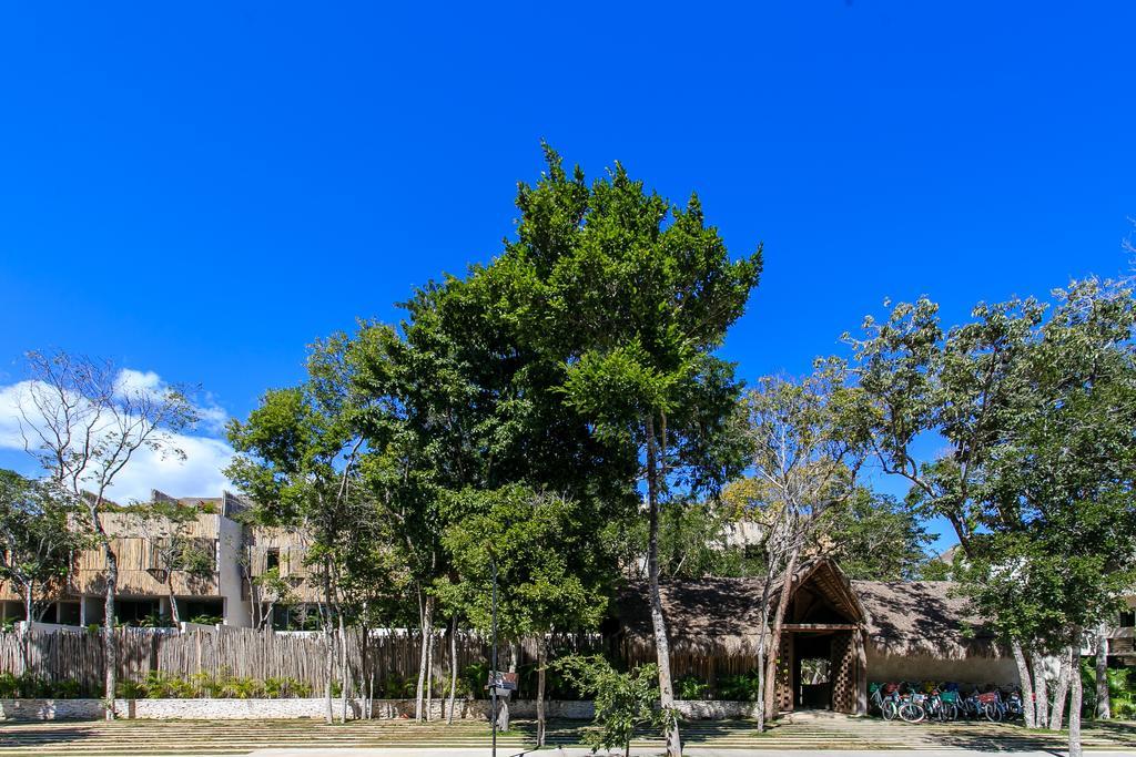 Eco-Chic Design Condos Wrapped In Nature'S Elements By Stella Rentals Tulum Extérieur photo
